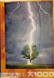 تصویر  پازل Lightning Striking Tree 1000pcs 4570