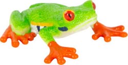 تصویر  Red Eyed Tree Frog 387299