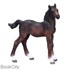 تصویر  Hanoverian Foal Baby 381018, تصویر 1