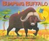 تصویر  Bumping Buffalo, تصویر 1