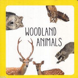 تصویر  Woodland Animals