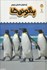 تصویر  يك فنجان دانستني درباره پنگوئن‌ها, تصویر 1
