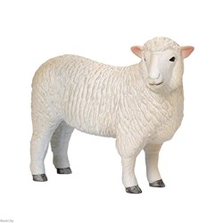 تصویر  Farmland Romney Sheep 381064