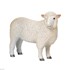 تصویر  Farmland Romney Sheep 381064, تصویر 1