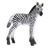 تصویر  zebra foal 387394, تصویر 1