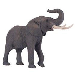 تصویر  African Elephant 381005