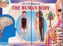 تصویر  My First Book of the Human Body