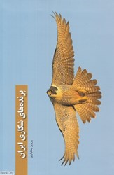 تصویر  پرنده‌هاي شكاري ايران